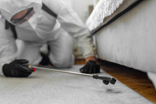 Professional Pest Control technician working in Woodland Park, CO