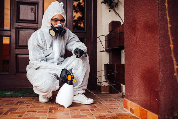 Reliable Emergency Pest Control contractor in Woodland Park, CO by Nex Pest Control