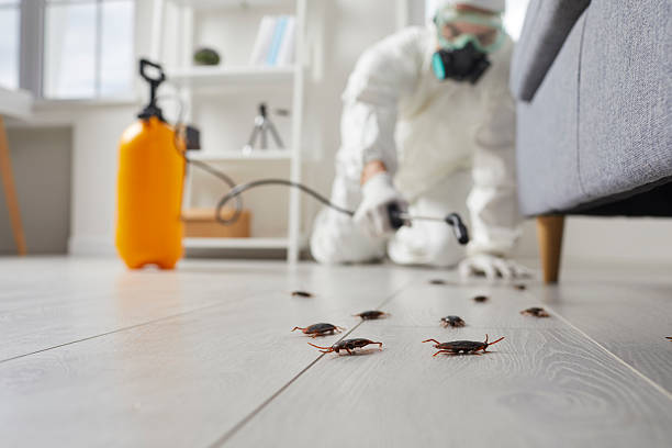 Trusted Mosquito Control service in Woodland Park, CO - Nex Pest Control