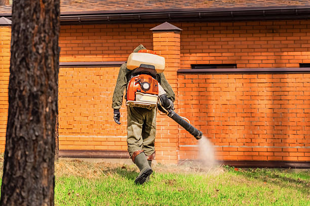 Trusted Fumigation Services service in Woodland Park, CO - Nex Pest Control